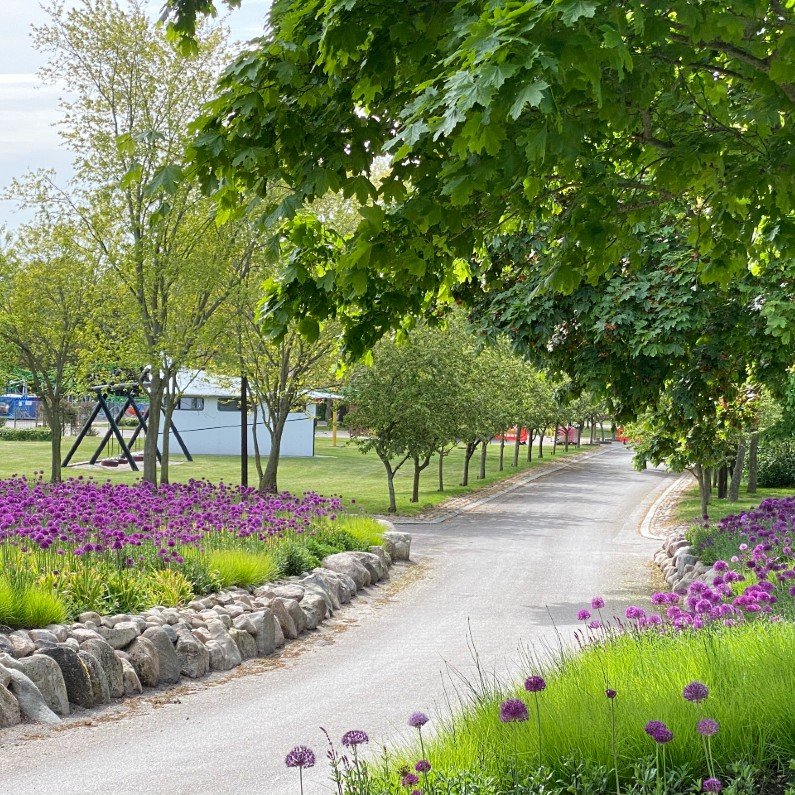 Parkens Blomster