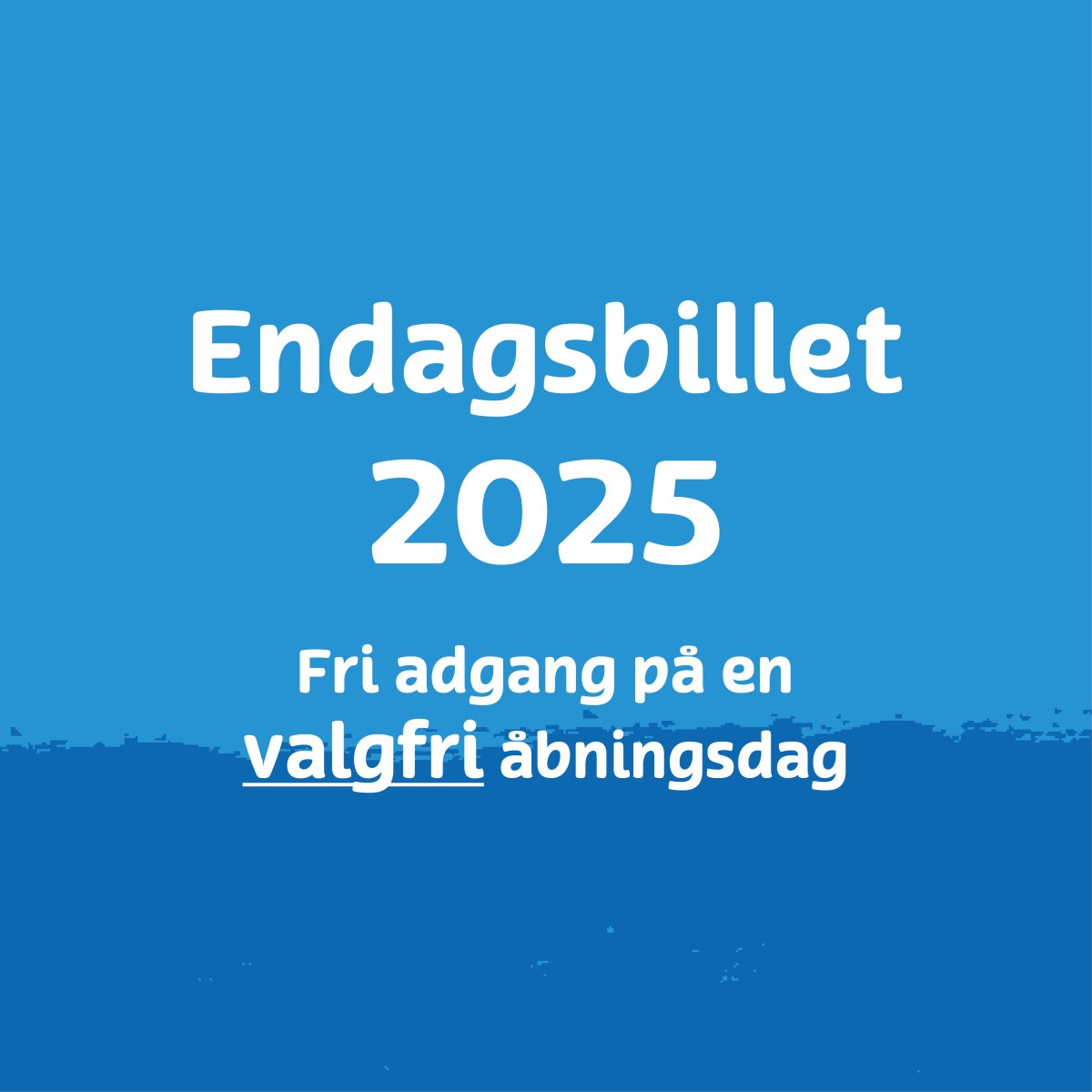 Endagsbillet 2025 (valgfri dato)
