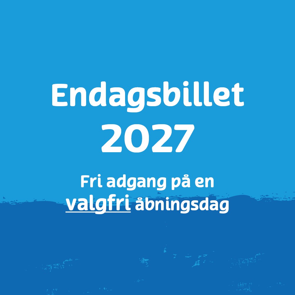 Endagsbillet 2027 (valgfri dato)