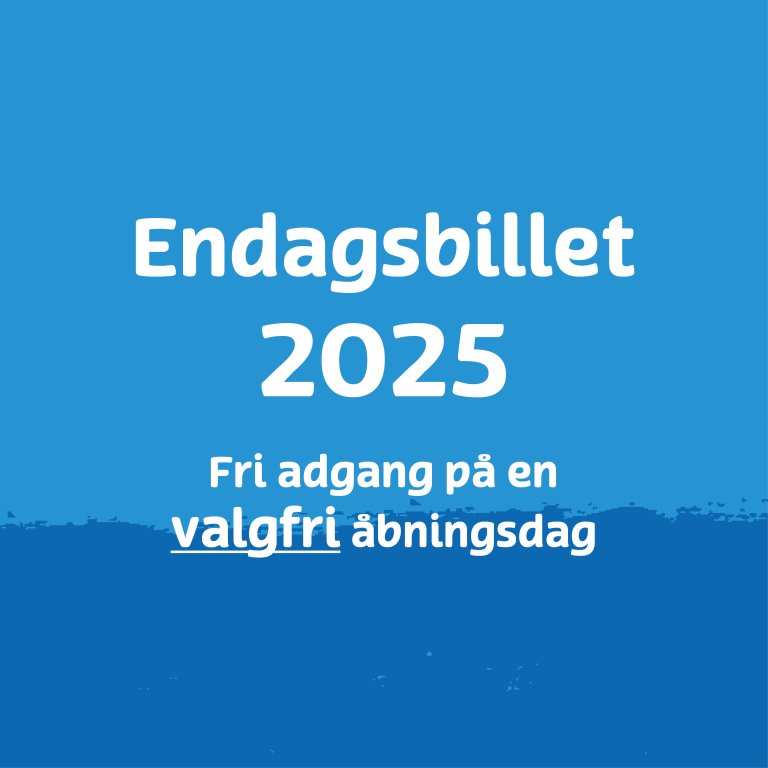 Endagsbillet 2025 (valgfri dato)